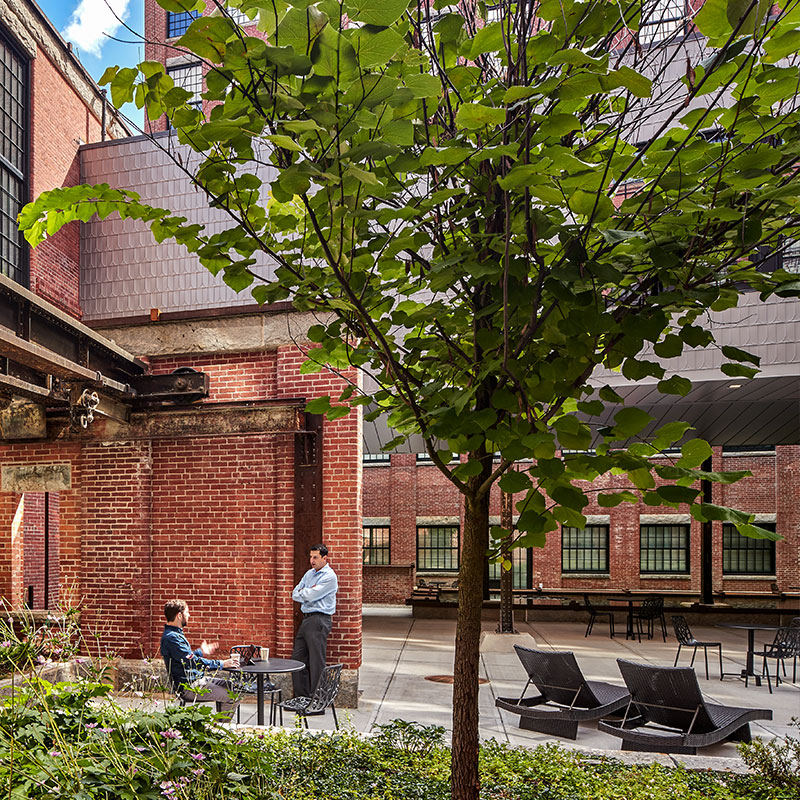 Outdoor apartment courtyard with shady trees and restored steel